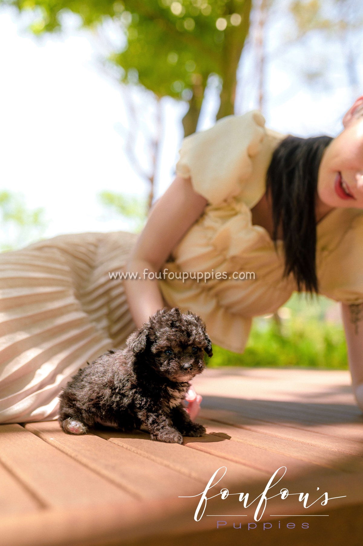 Snoopy - Poodle M.