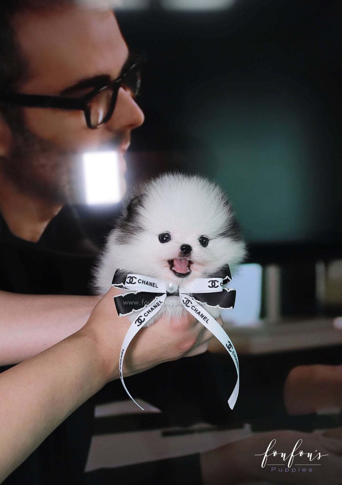 Barbie - Pomeranian F.