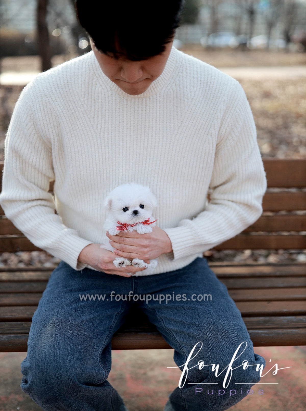 London - Maltese F.