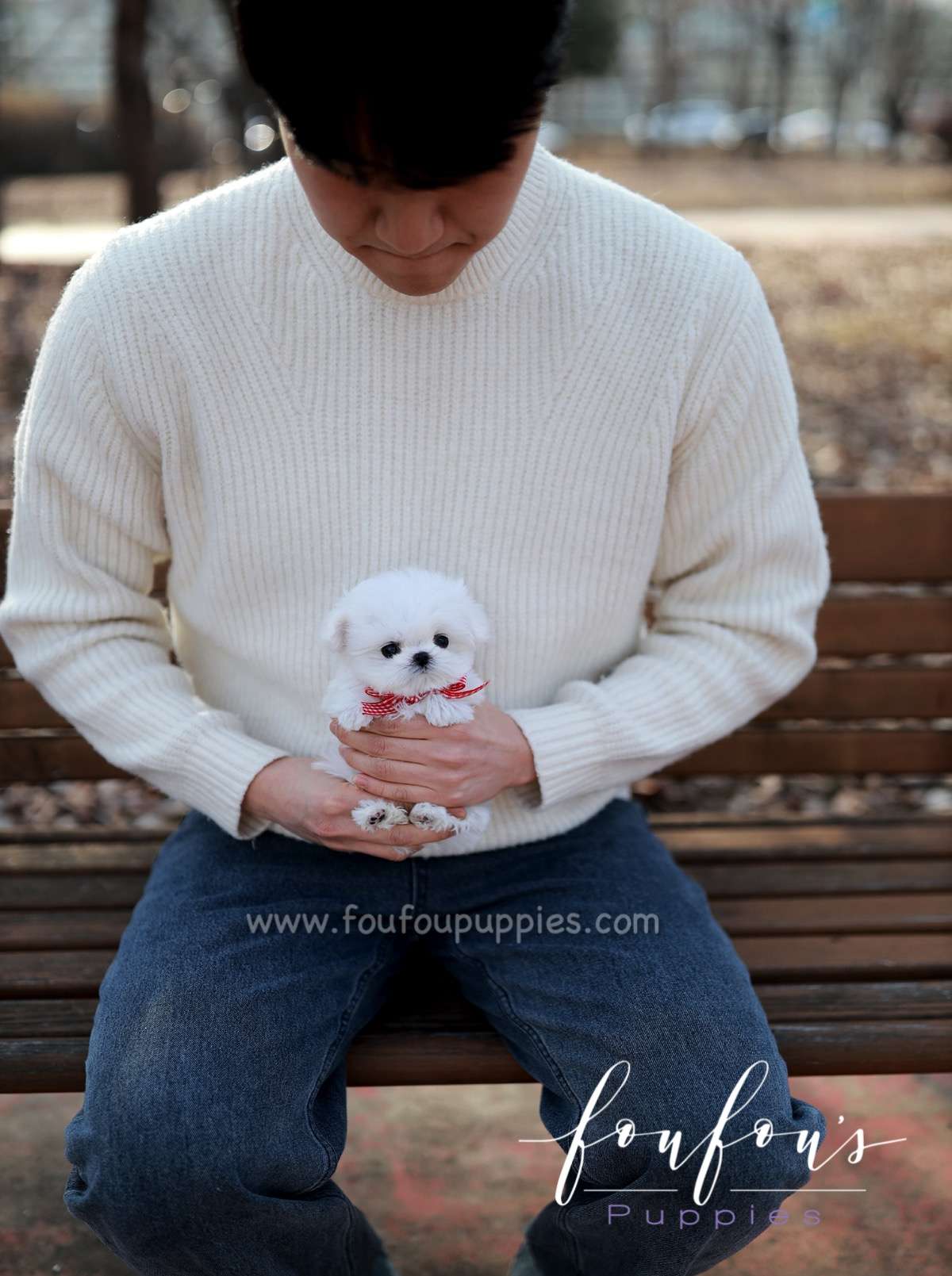 London - Maltese F.