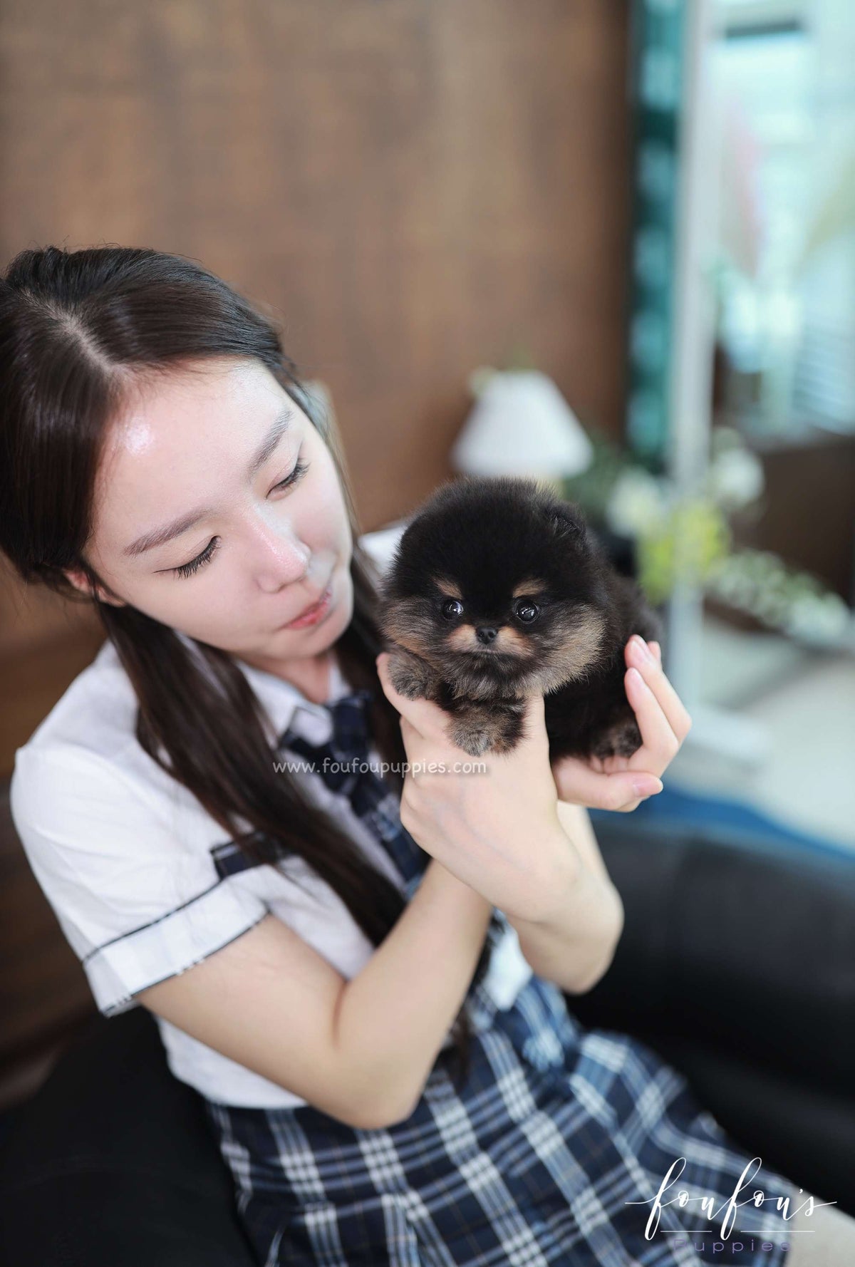 Teeny - Pomeranian M.