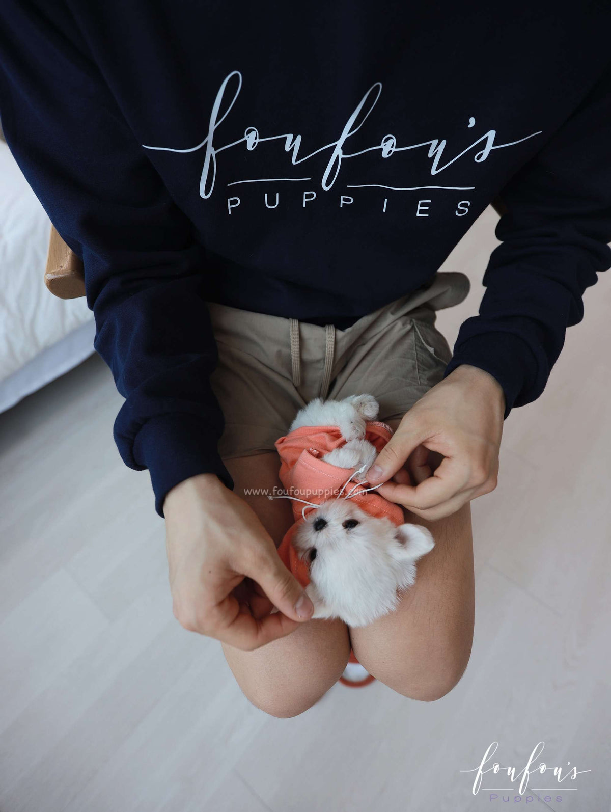 Miss Muffin - Maltese F.