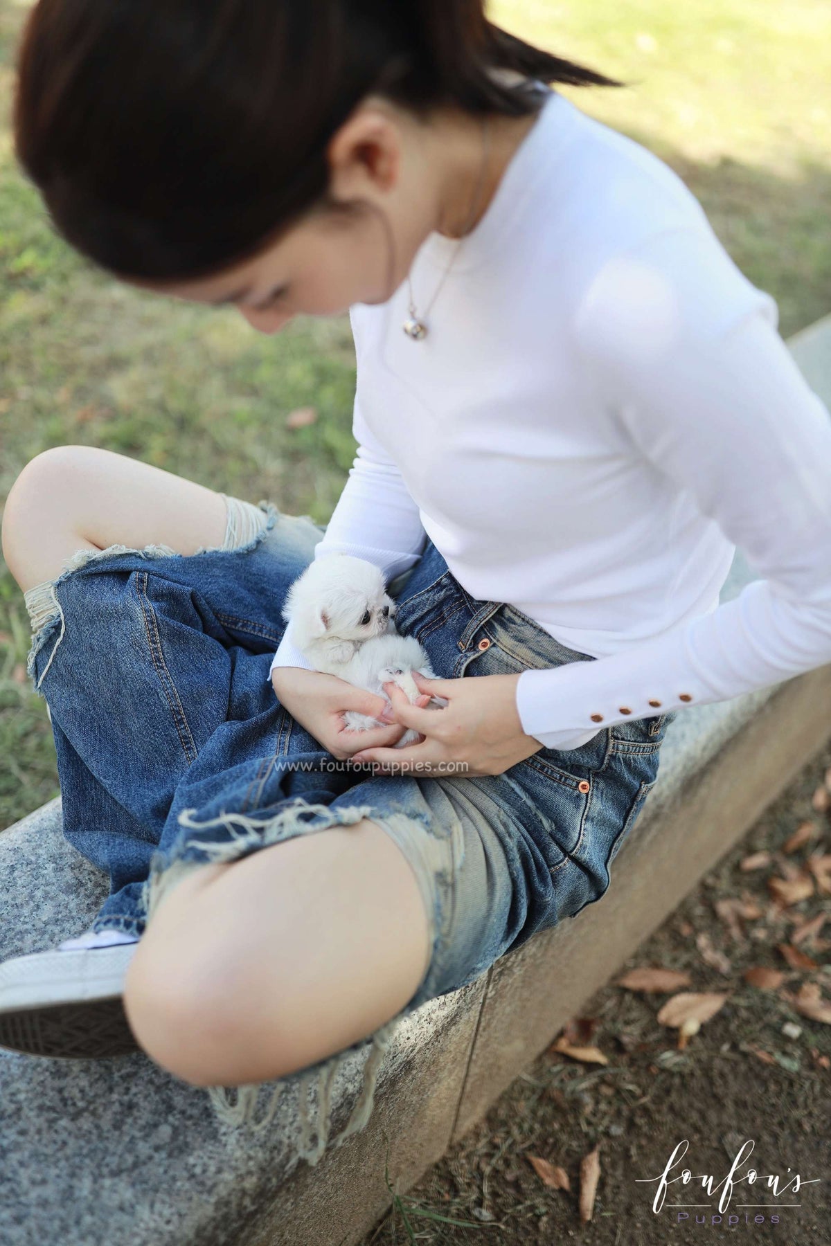 Minnie - Maltese F.