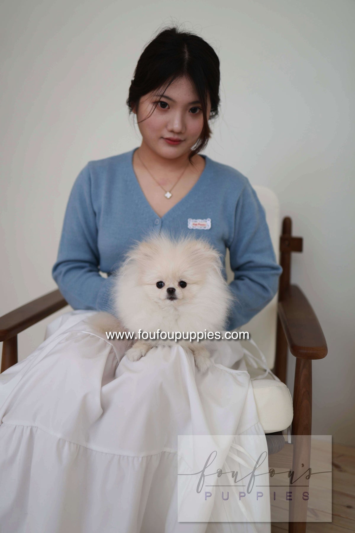 Sweetie - Pomeranian F.