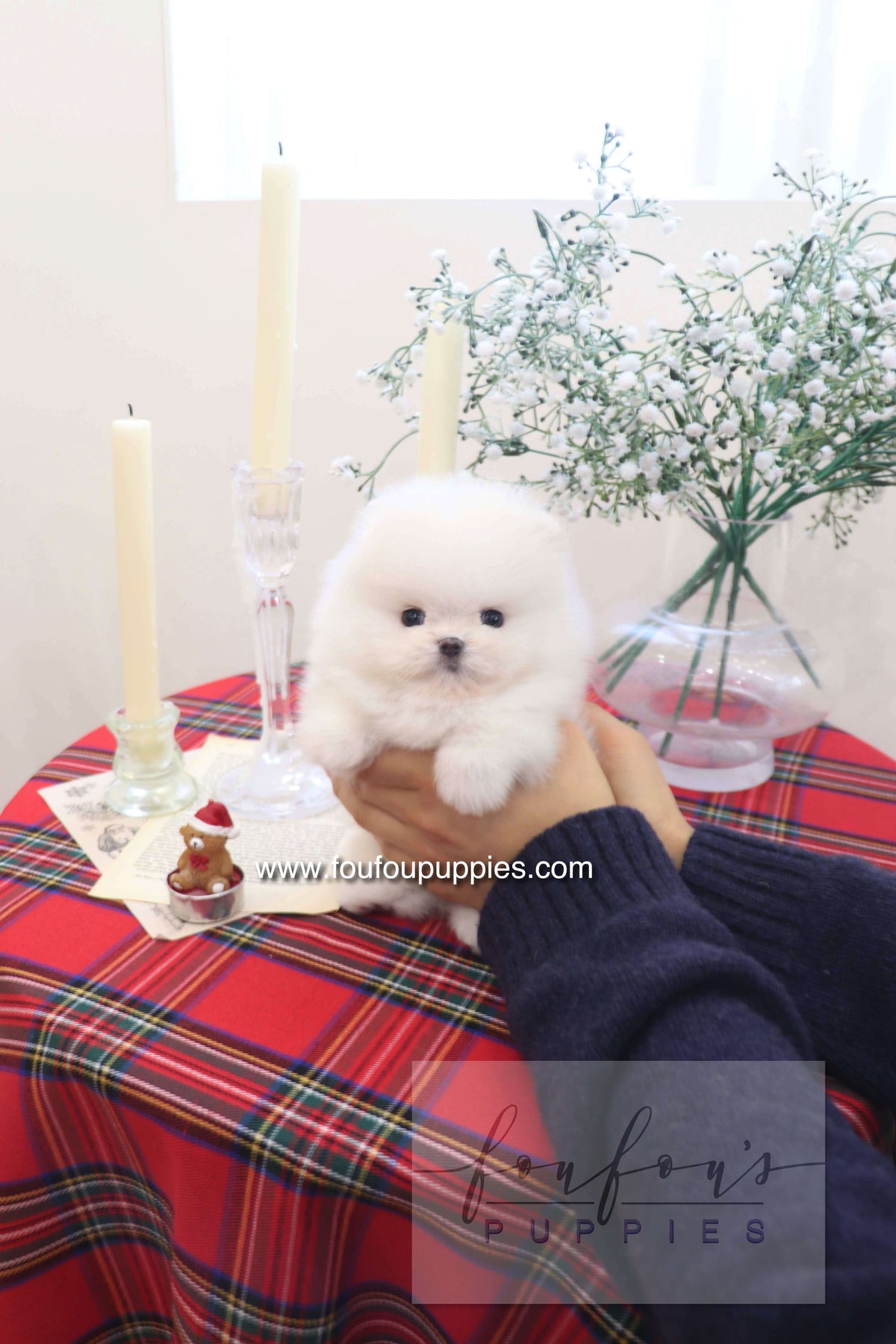 Small white puppy being held on a table with candles and flowers in the background