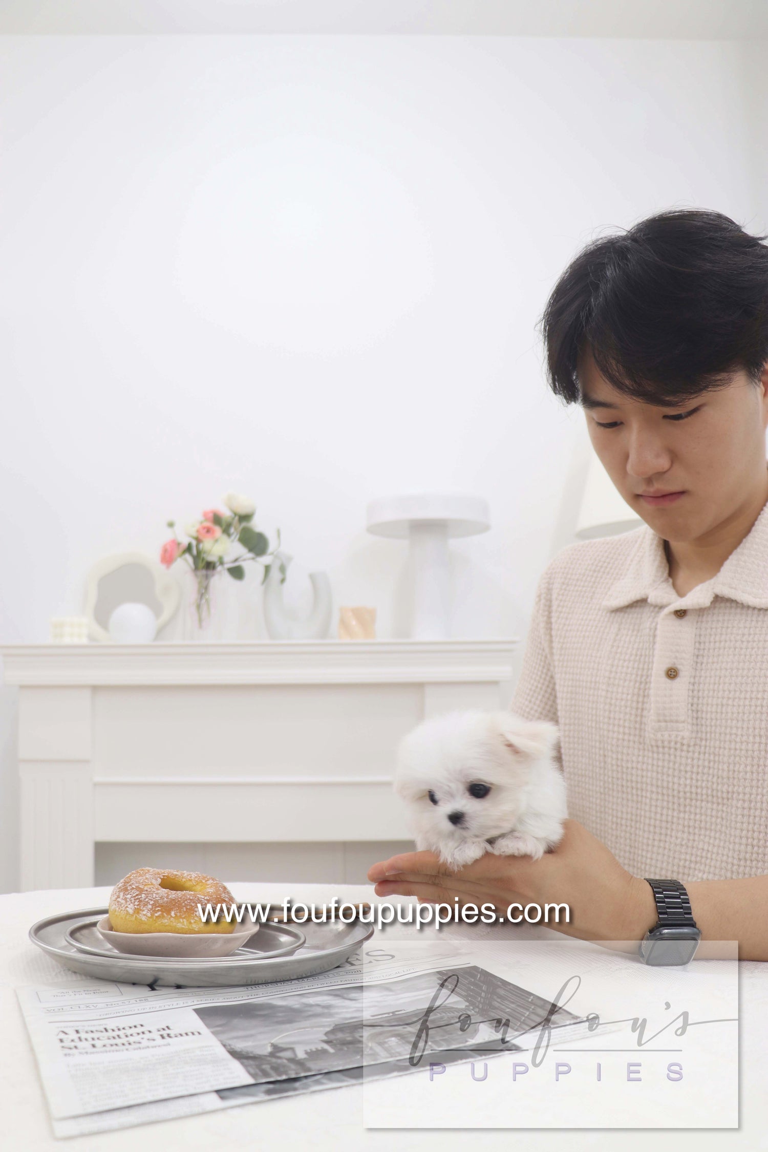 Pebbles - Maltese F.