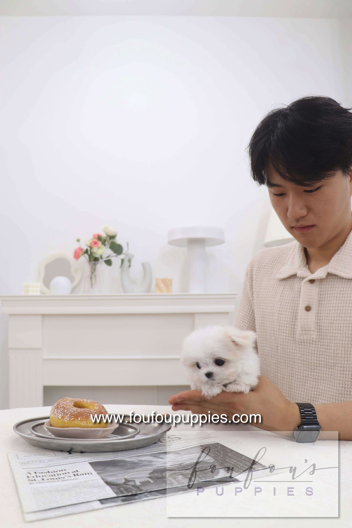 Pebbles - Maltese F.