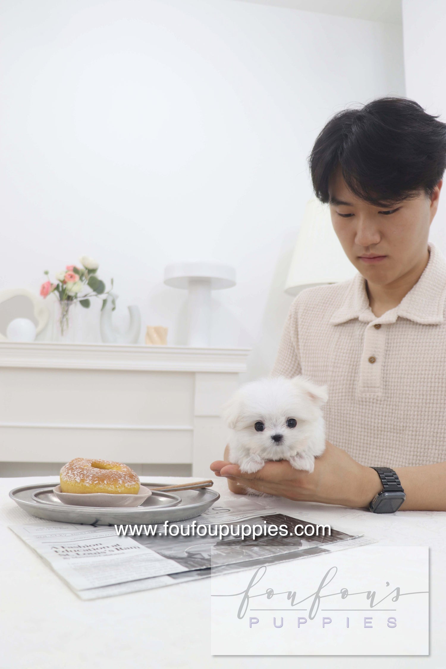 Pebbles - Maltese F.