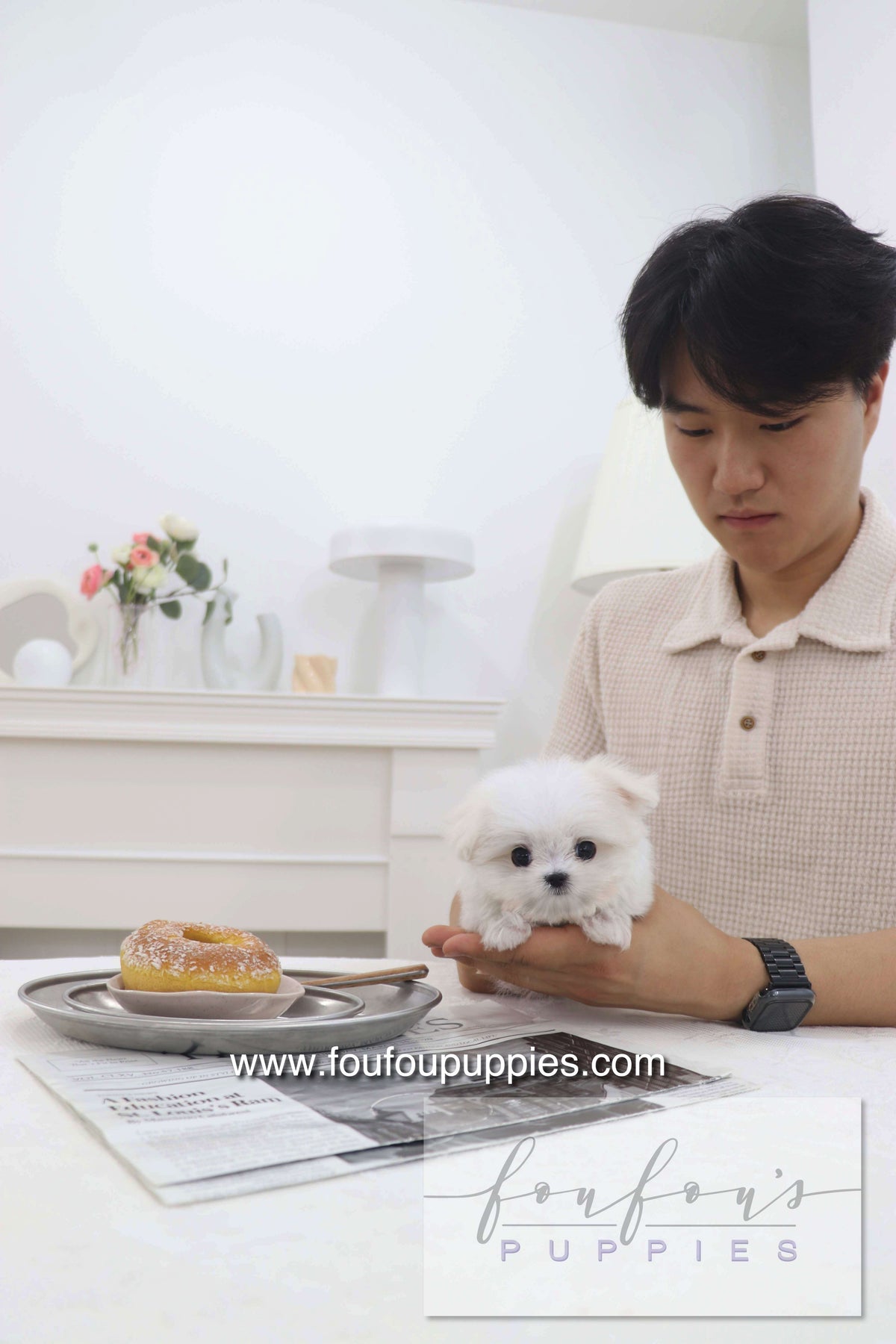 Pebbles - Maltese F.