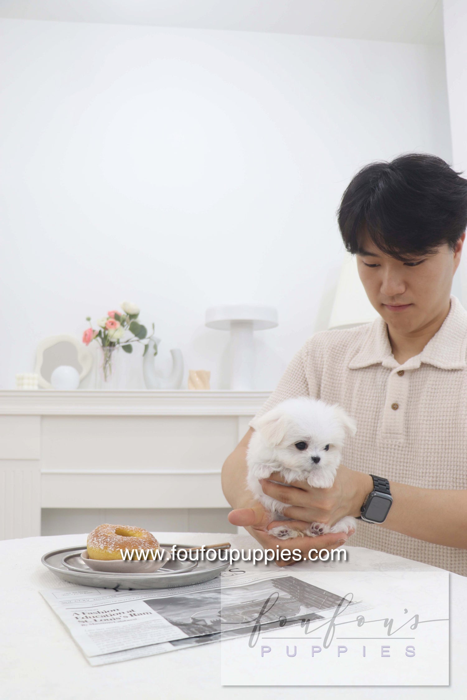 Pebbles - Maltese F.