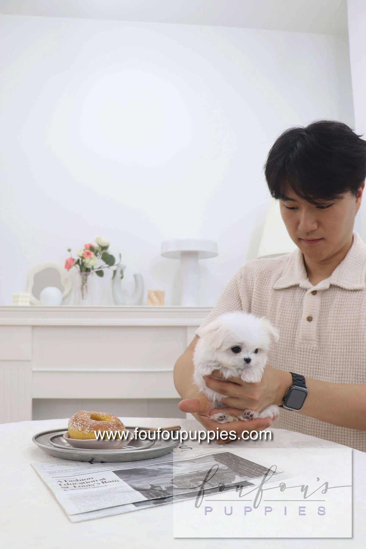 Pebbles - Maltese F.
