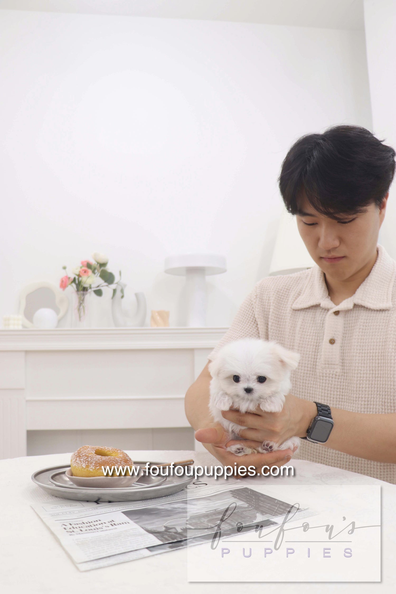 Pebbles - Maltese F.
