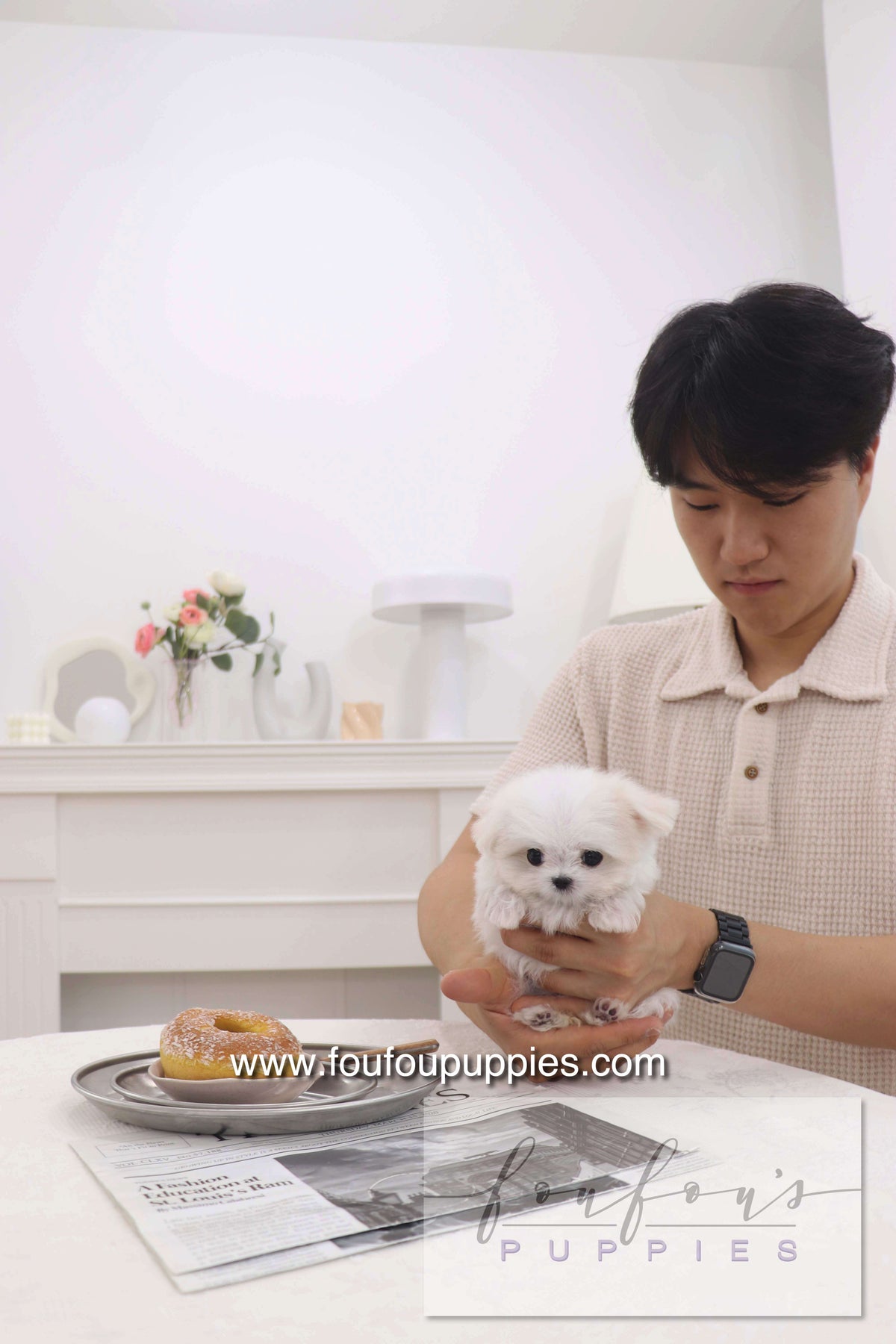 Pebbles - Maltese F.