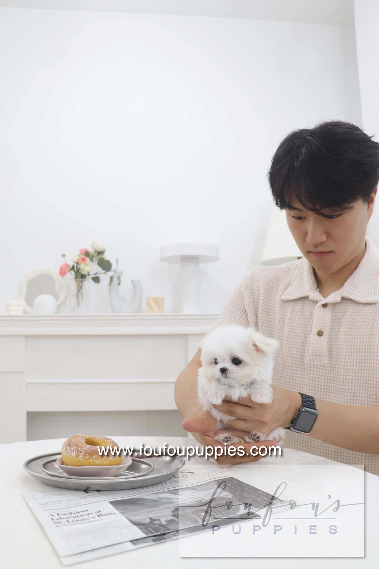 Pebbles - Maltese F.