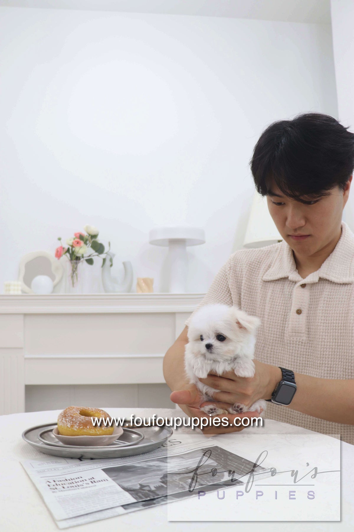 Pebbles - Maltese F.