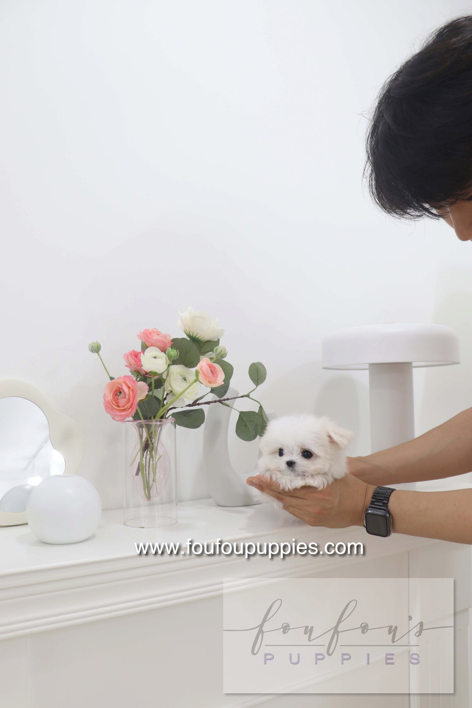 Pebbles - Maltese F.