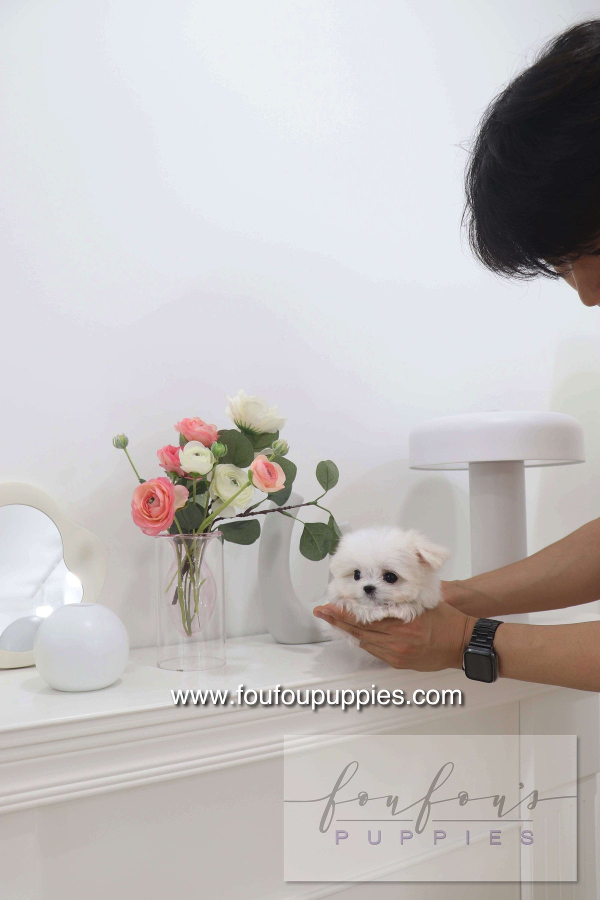 Pebbles - Maltese F.