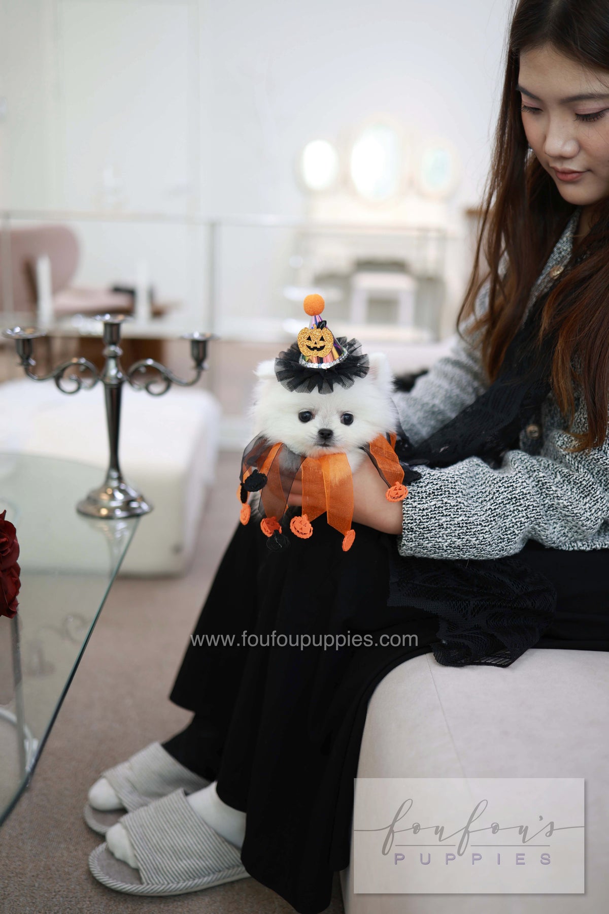 Princess - Pomeranian F.
