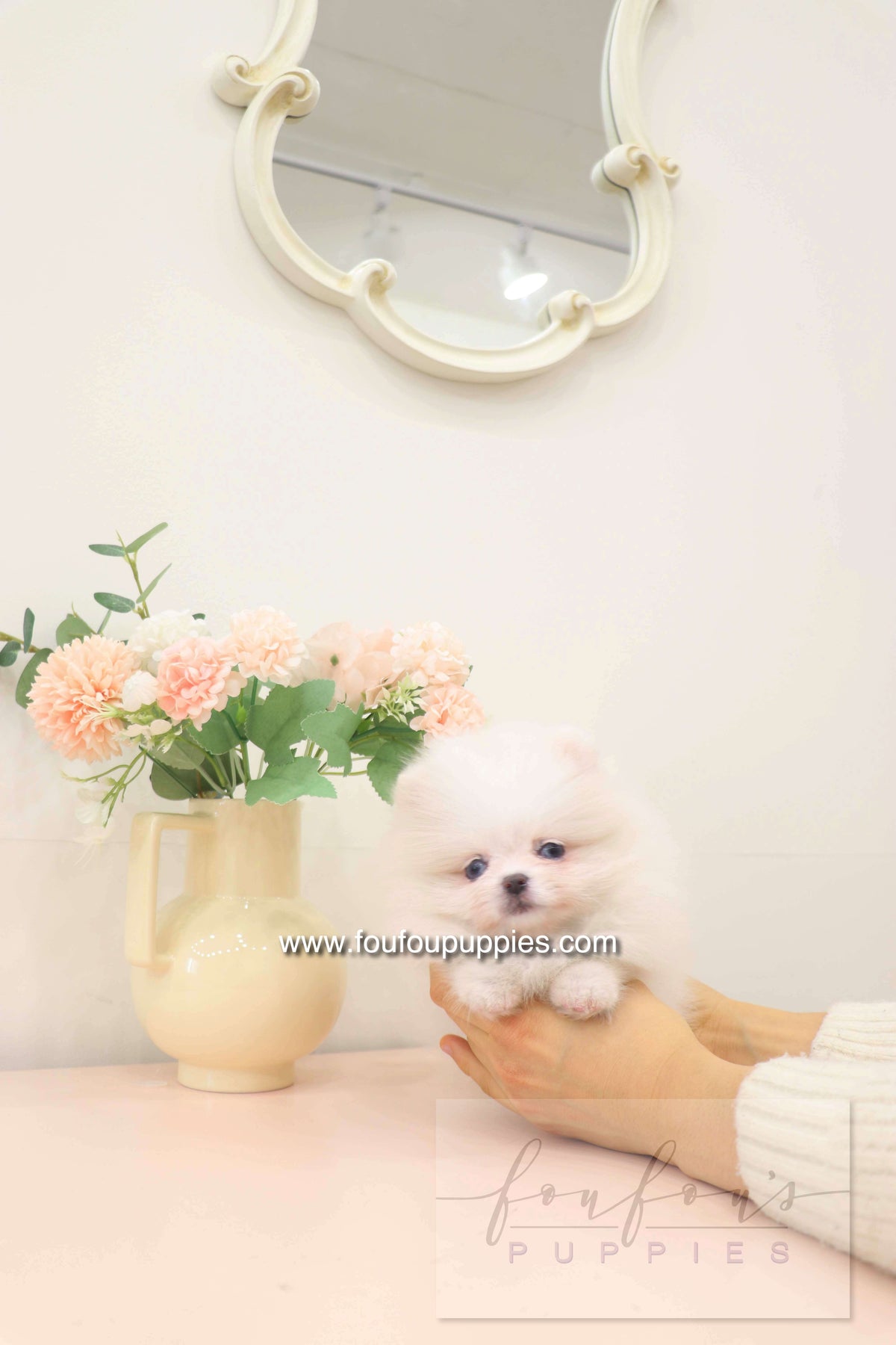 Small white puppy sitting on a person's lap with a vase of flowers in the background