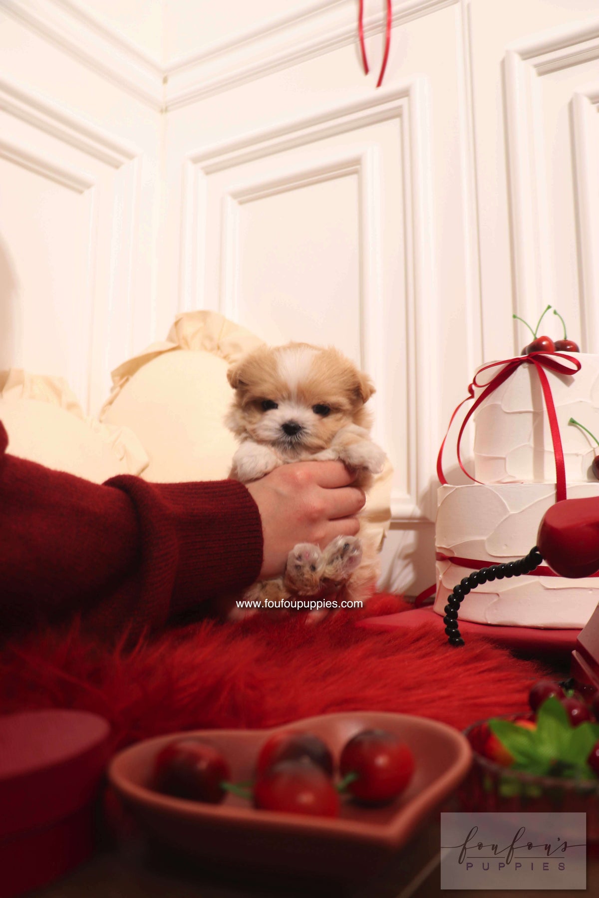 Person holding a small dog with festive decorations and a heart-shaped bowl in the foreground.