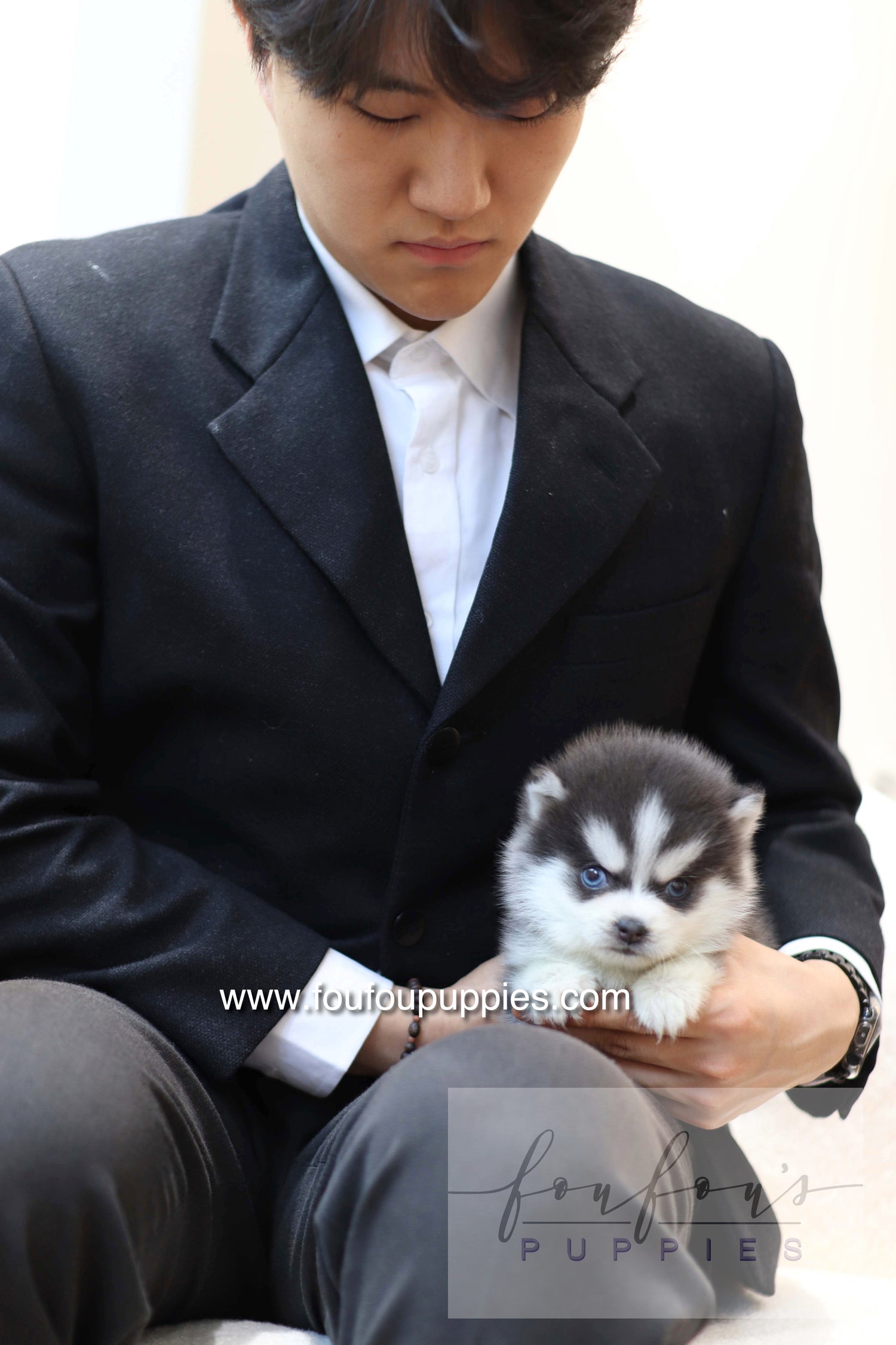 Lake - Pomsky M.
