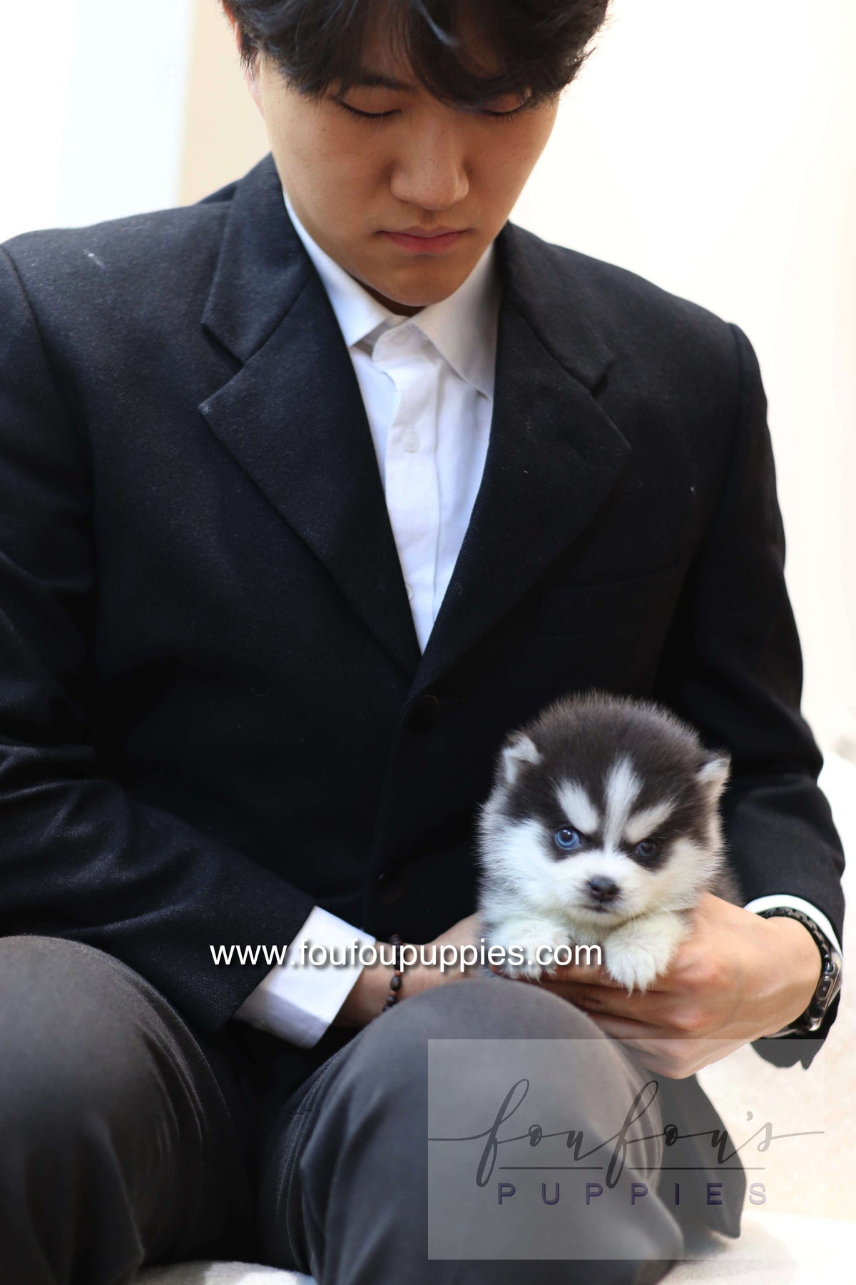 Lake - Pomsky M.