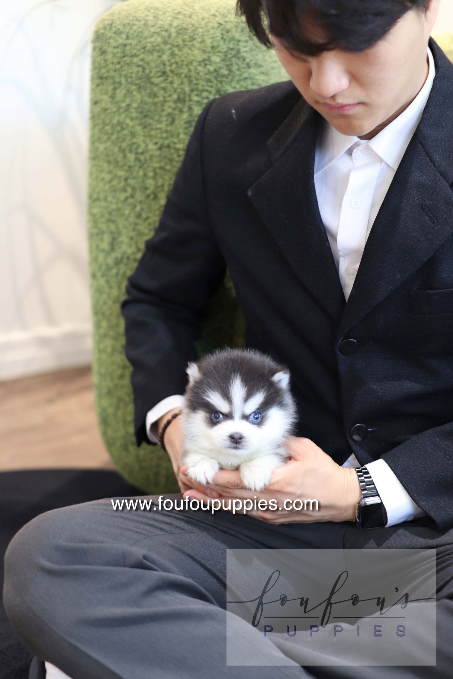 Lake - Pomsky M.