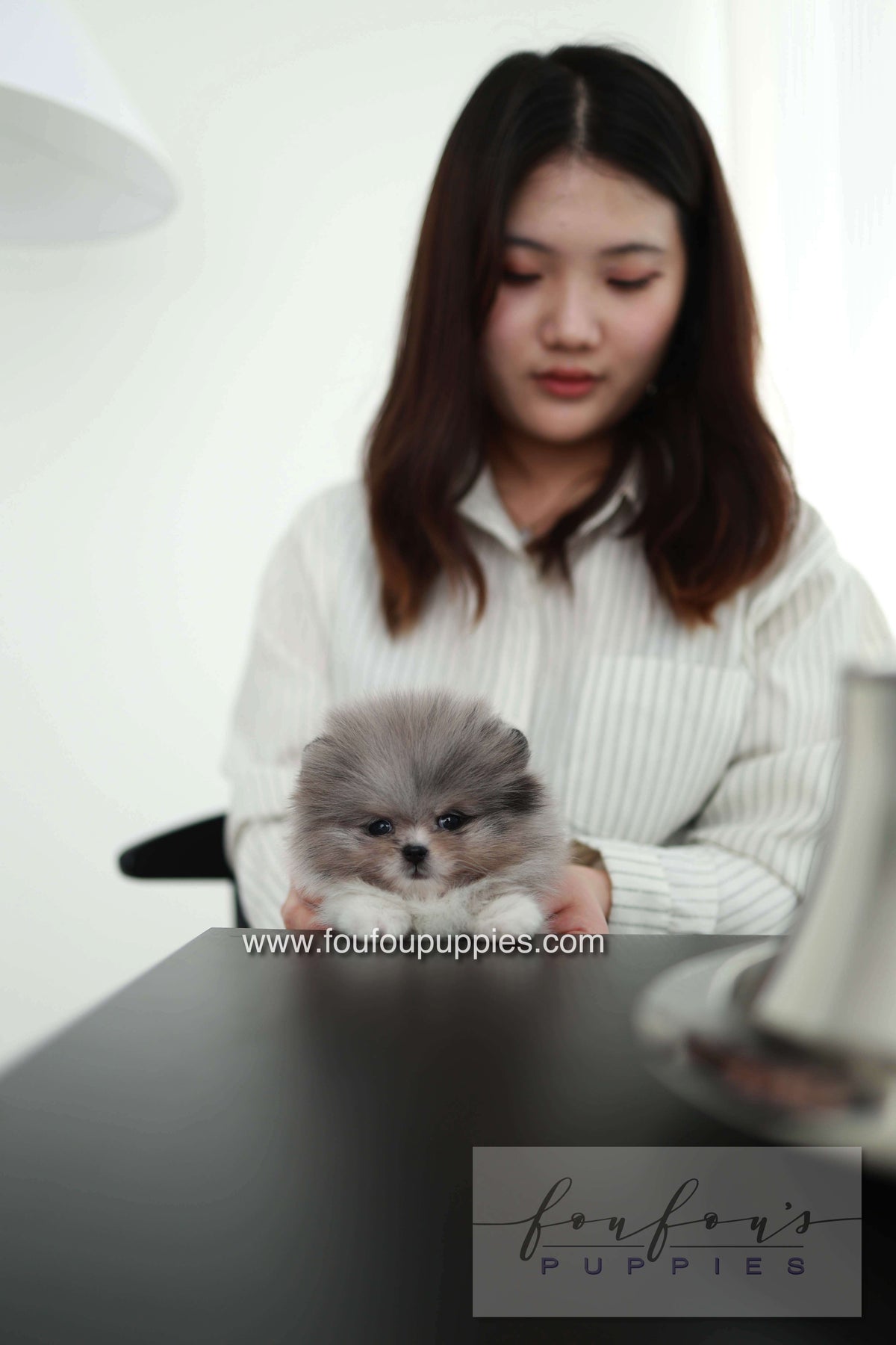 Snoopy - Pomeranian M. - Special order