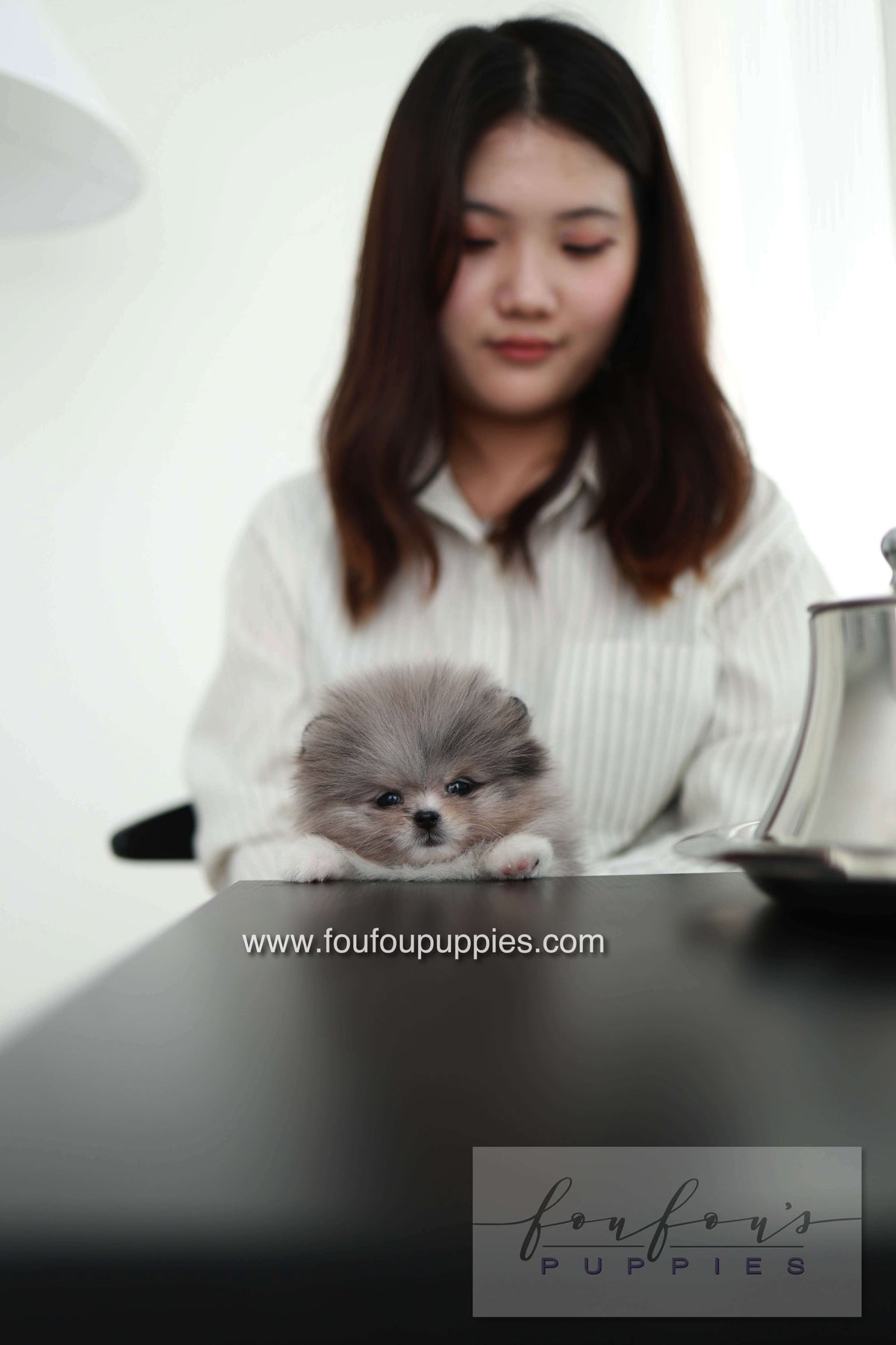 Snoopy - Pomeranian M. - Special order