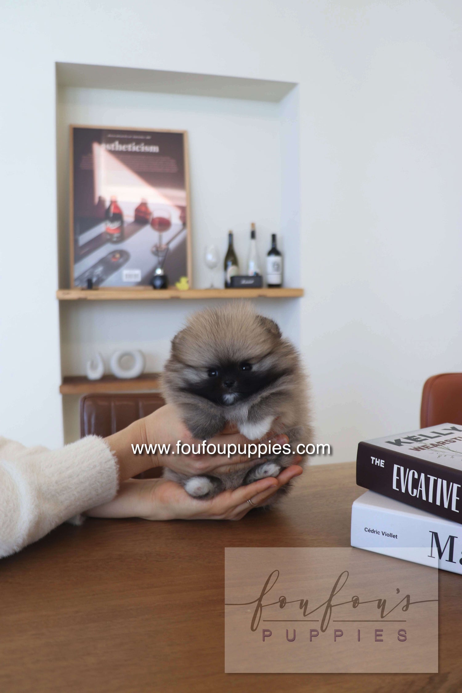 Person holding a small puppy on a table with books and a shelf in the background.