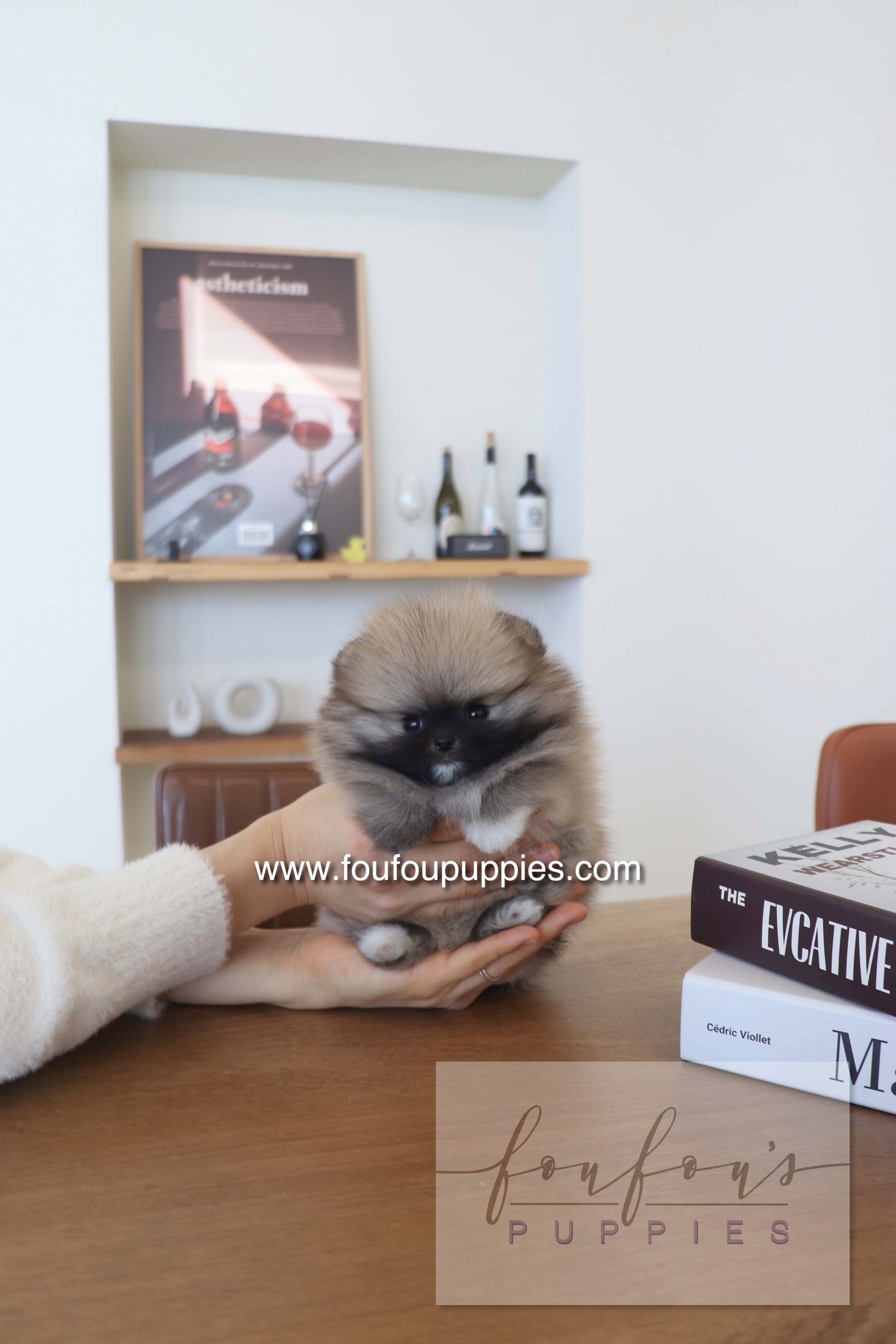 Person holding a small puppy on a table with books and a shelf in the background.