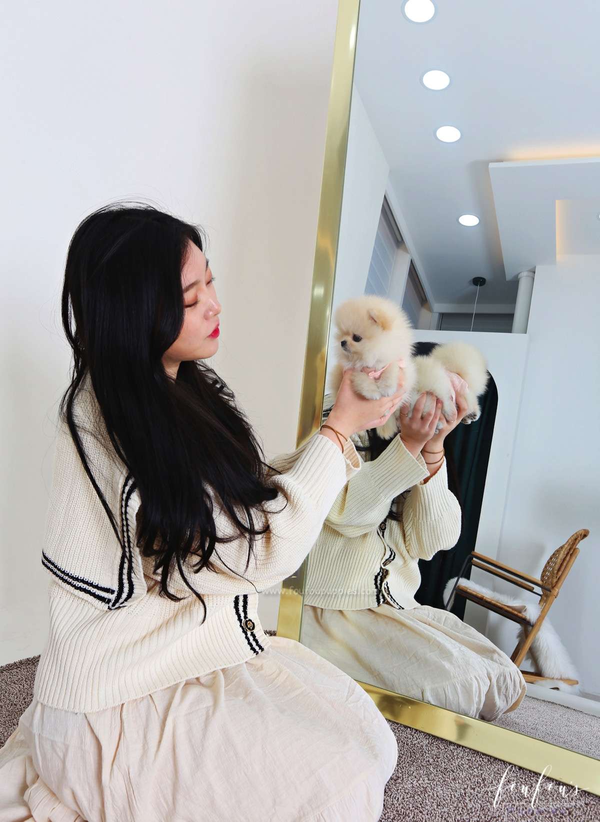 Giannì - Pomeranian M.