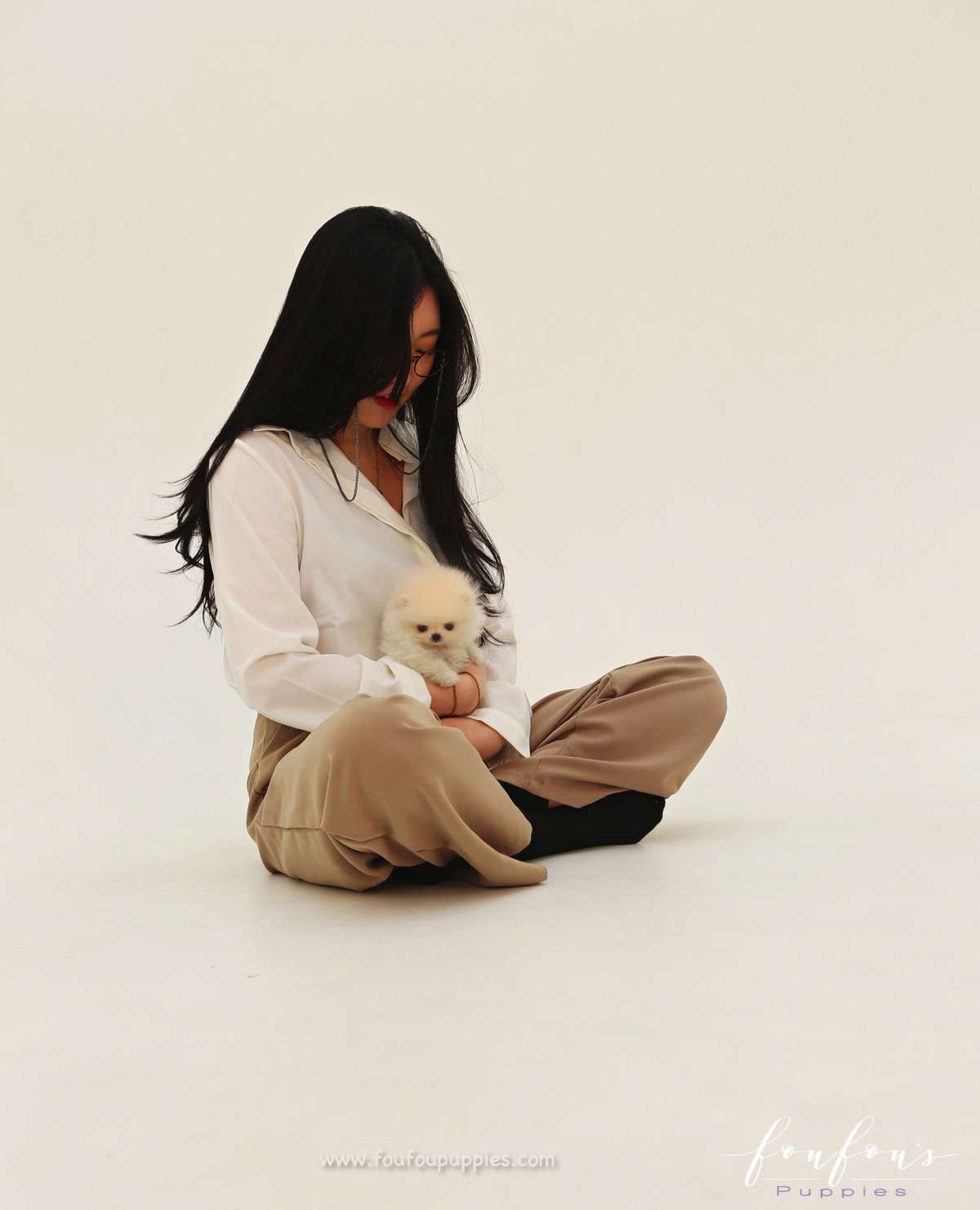 Tiara - Pomeranian F. (Found Home)