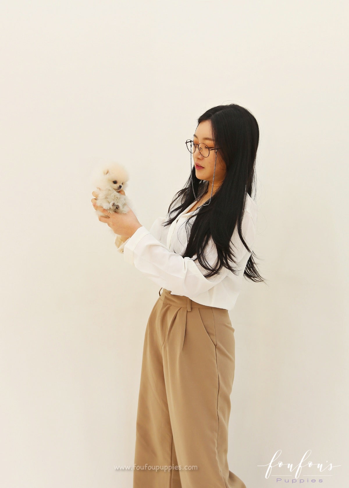 Tiara - Pomeranian F. (Found Home)