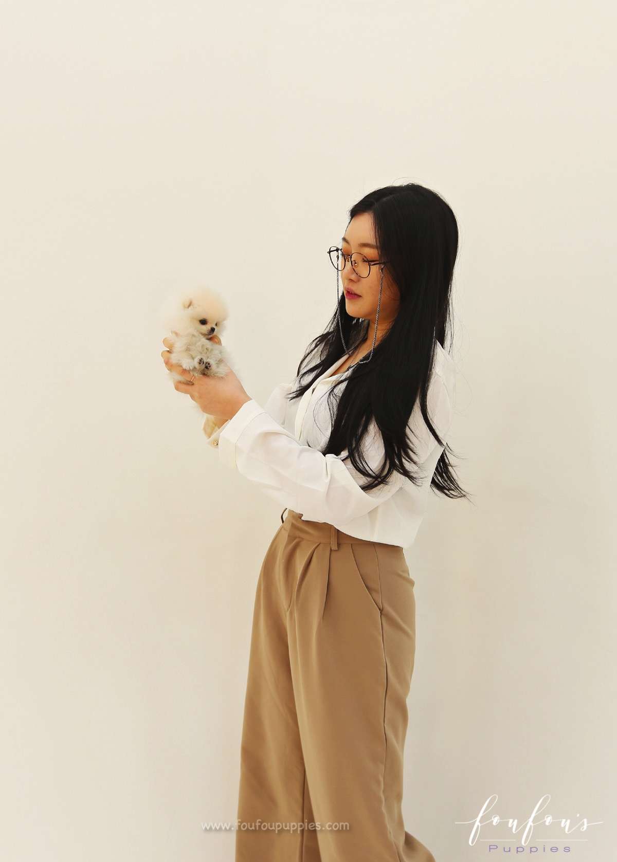 Tiara - Pomeranian F. (Found Home)