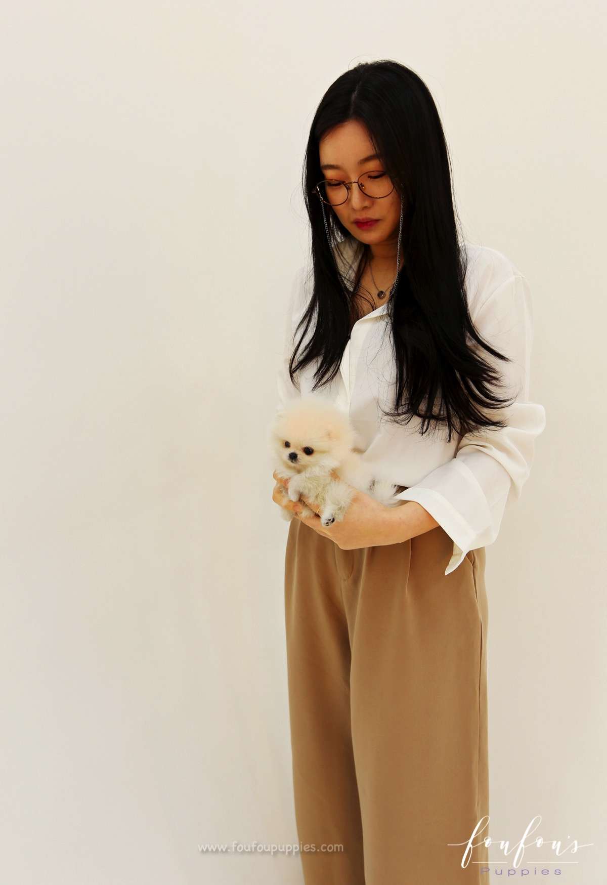 Tiara - Pomeranian F. (Found Home)