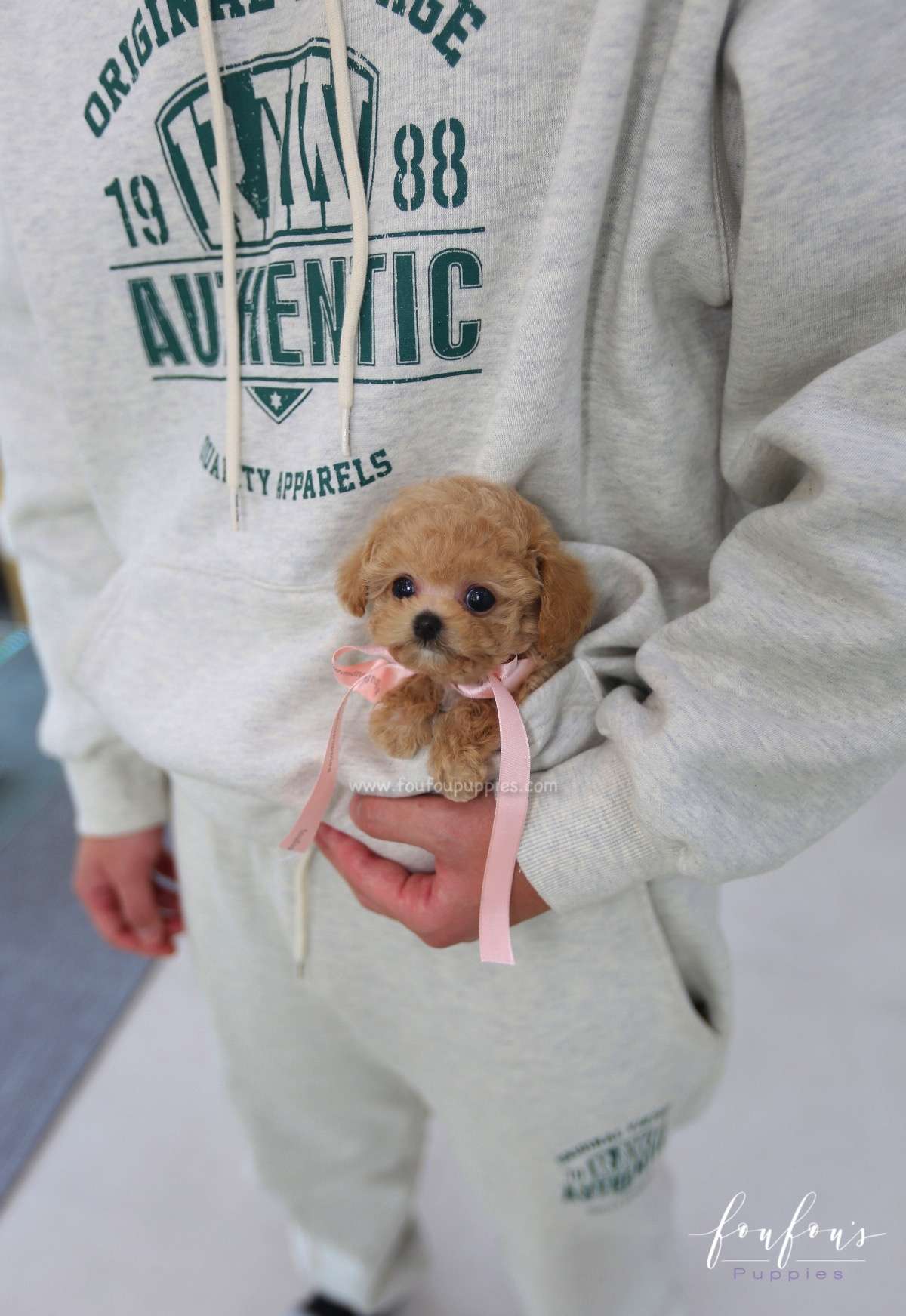 Yuna - Poodle F.