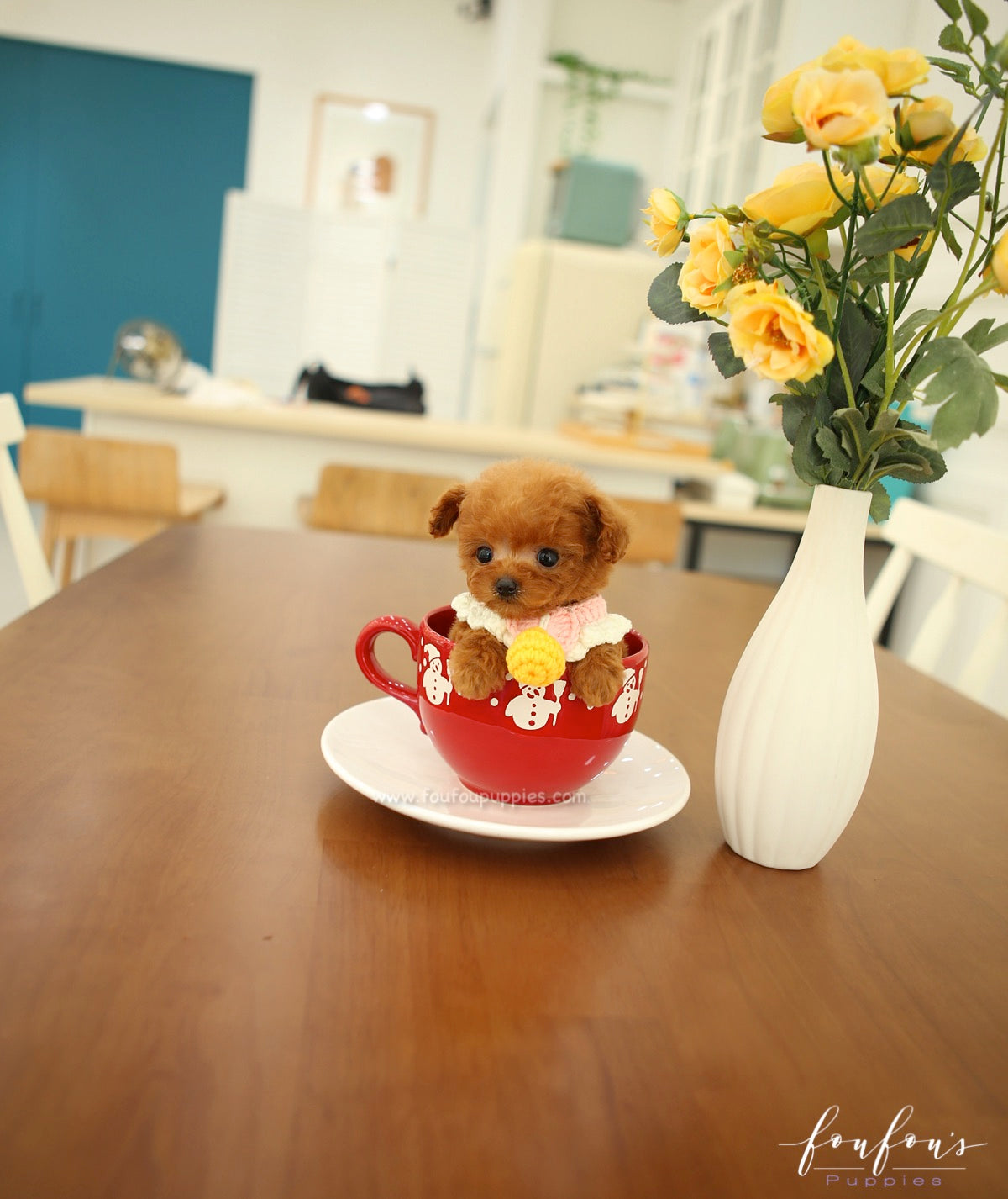 Pooh - Poodle M.