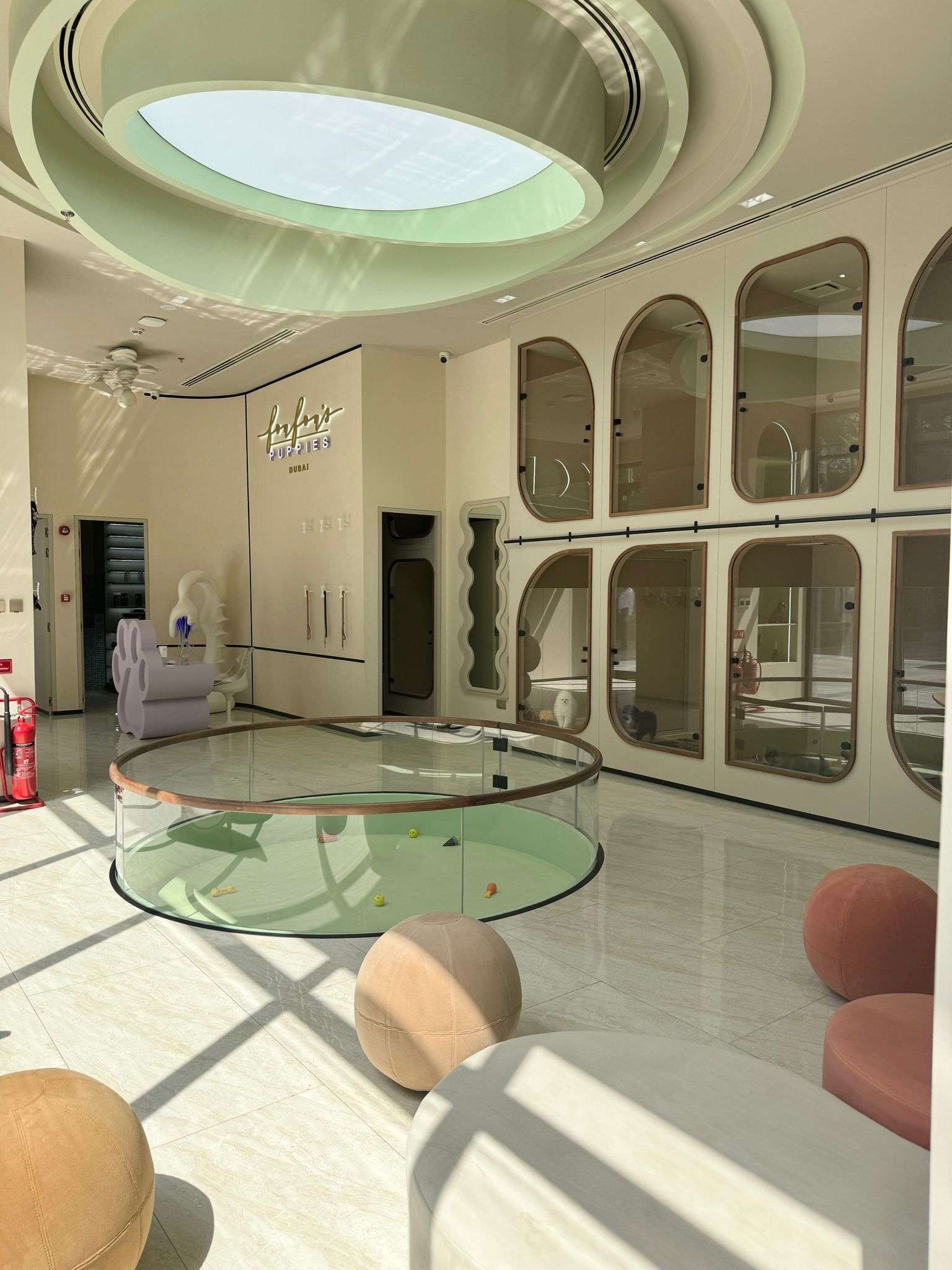 Where Celebrity Pets Shop: The Ultimate Guide to Luxury Pet Retail in 2025