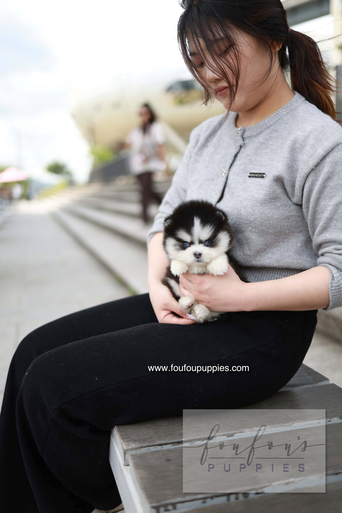 Capri - Pomsky F.
