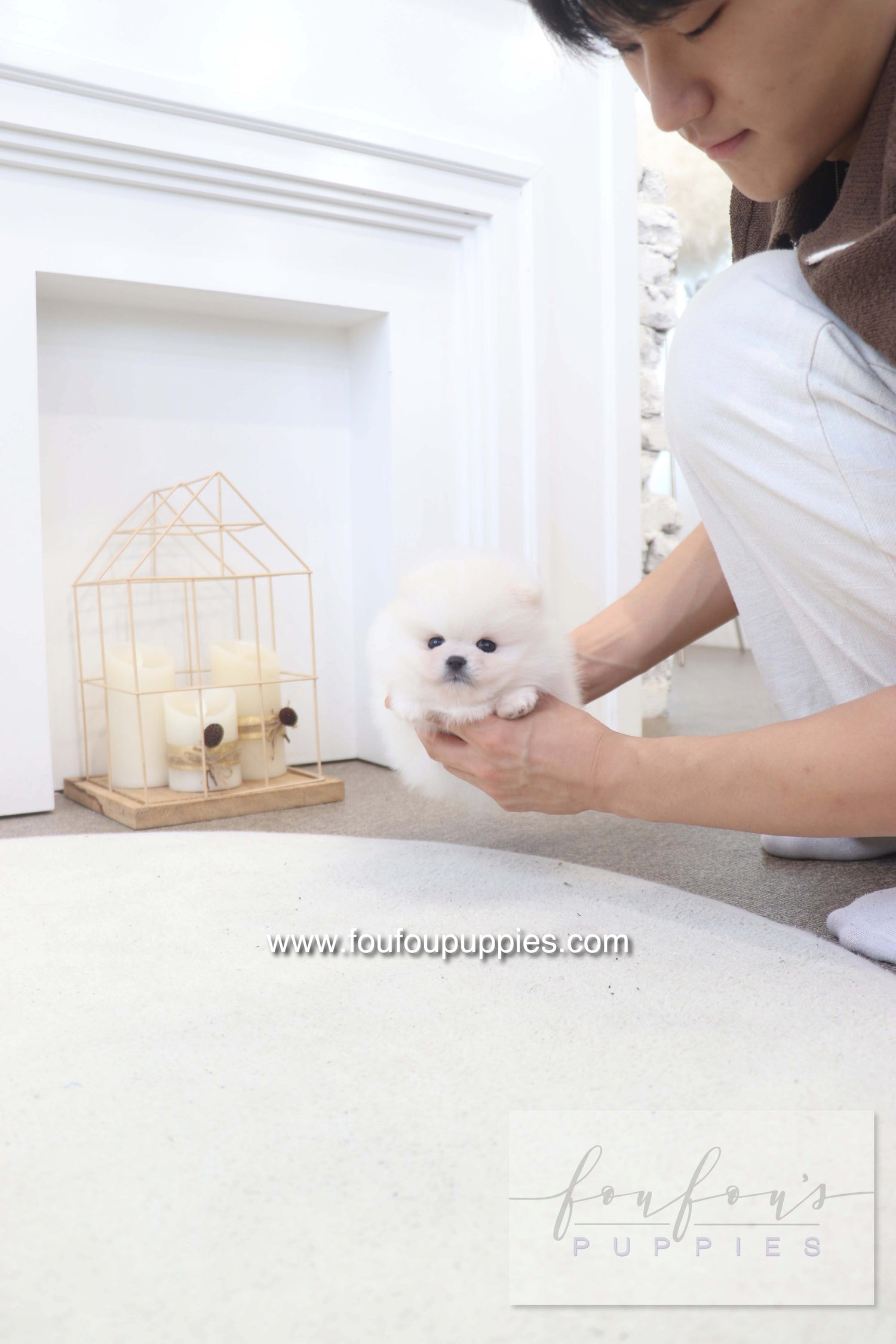 BooBear - Pomeranian M.