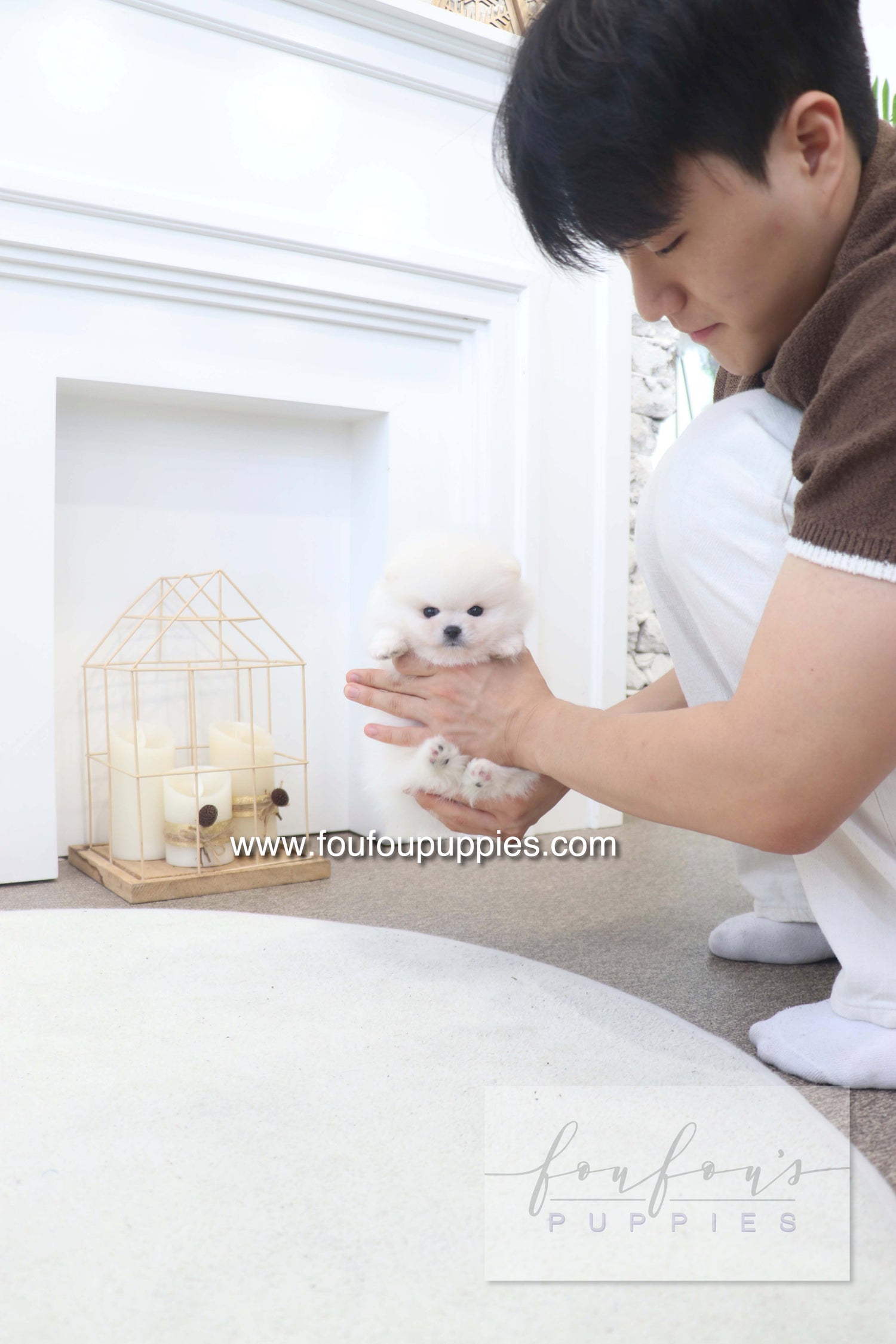 BooBear - Pomeranian M.