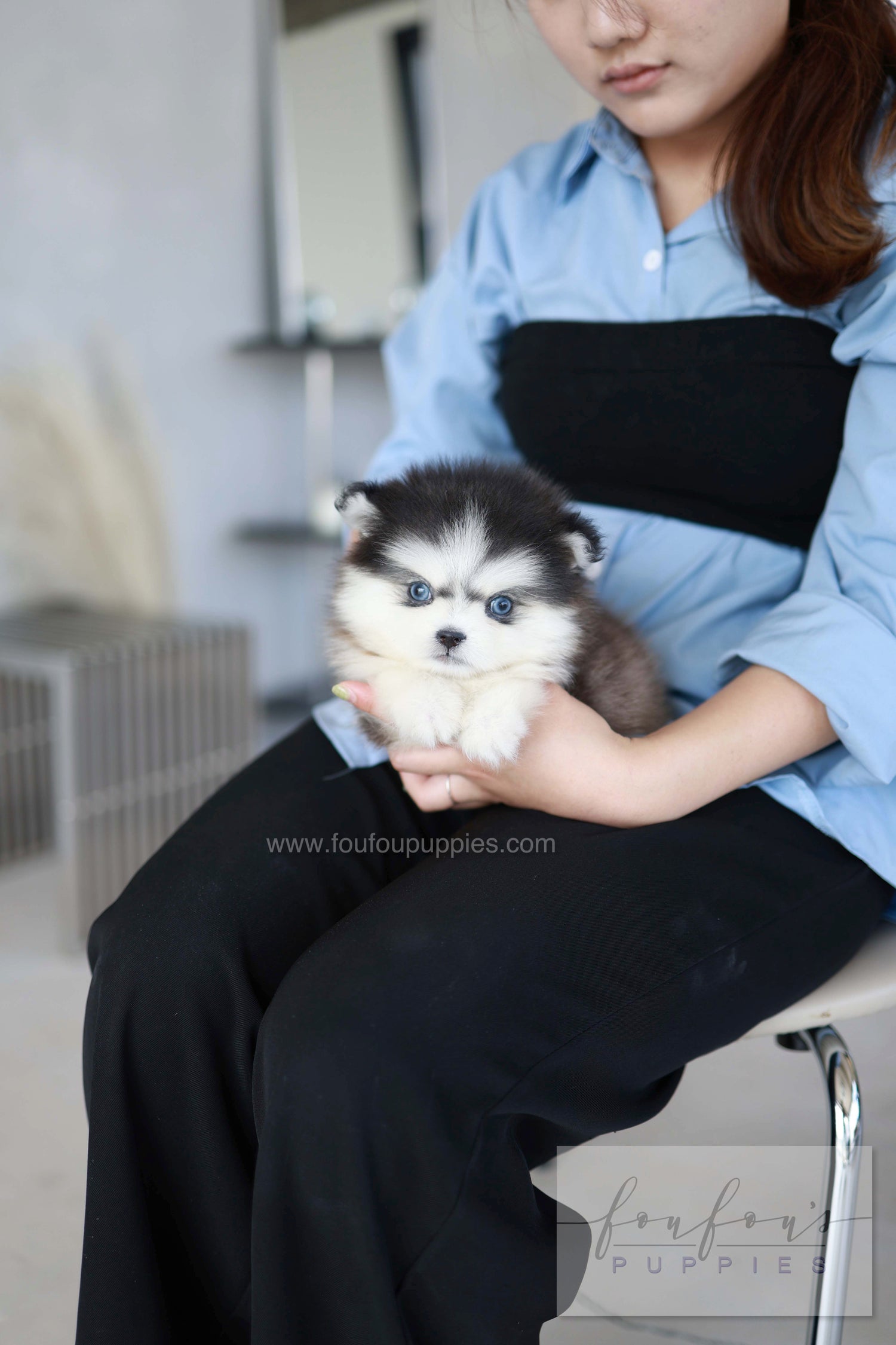 Atom - Pomsky M.