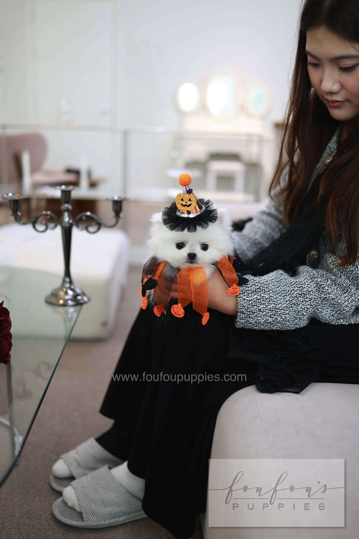 Princess - Pomeranian F.