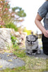 Small fluffy puppy sitting on a stone path with a blurred background