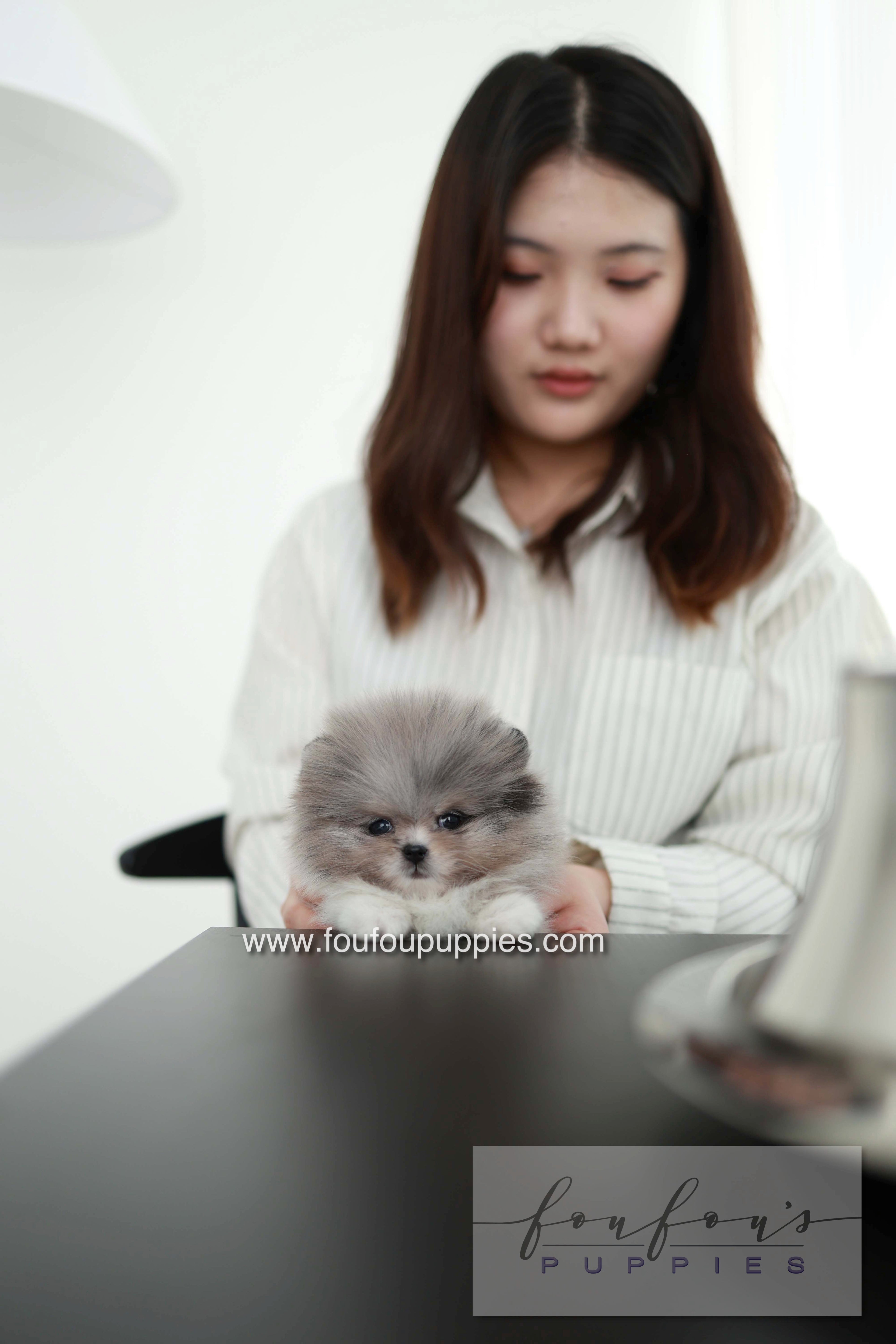 Snoopy - Pomeranian M. - Special order