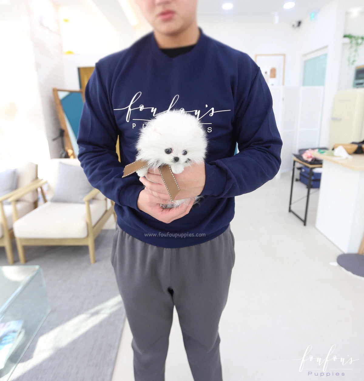 Bijou - Pomeranian F.